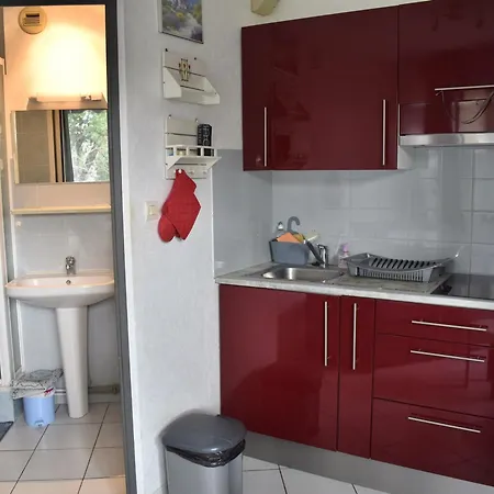 Petit T2 Avec Balcon, Animaux Admis, Climatisation - Fr-1-503-153