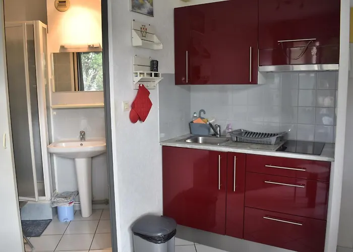 Petit T2 Avec Balcon, Animaux Admis, Climatisation - Fr-1-503-153