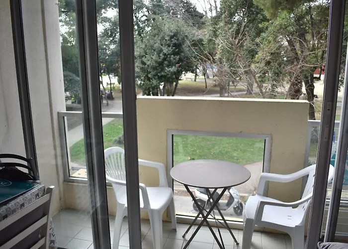 شقة Petit T2 Avec Balcon, Animaux Admis, Climatisation - Fr-1-503-153 *